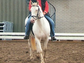 Ponyfestival Europaschau