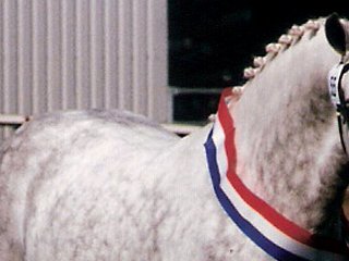 Centrale Keuring Niederlande