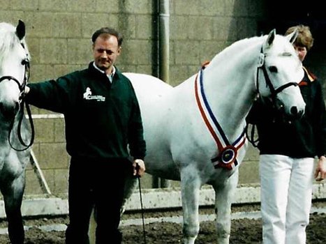 Internationale Hengstschau