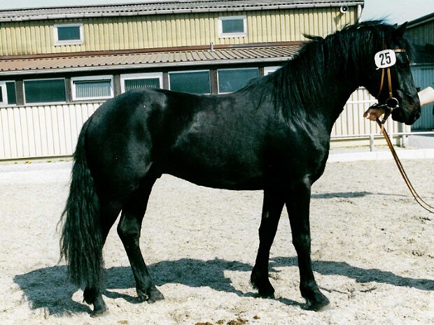 2002-04-04 AC Koerung