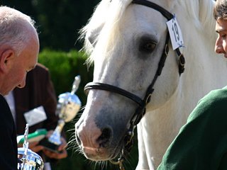 Nationale Keuring Belgien