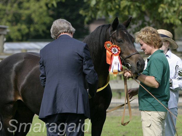 Centrale Keuring Niederlande