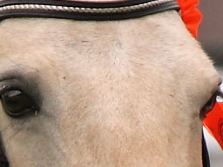 Centrale Keuring Niederlande