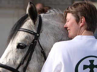 Hengstkeuring Niederlande