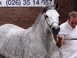 Centrale Keuring Niederlande