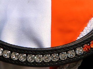 Wickrath International Sportklassen