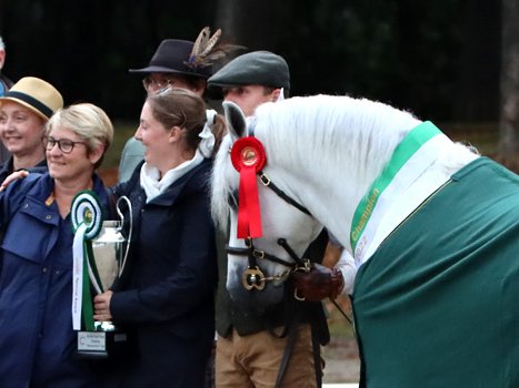 Wickrath International Zuchtklassen