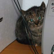 Leliaardjes-2004-11-05