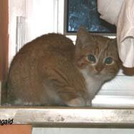 Leliaardjes-2004-11-05_Ron