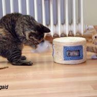 Leliaardjes_2004-12-21_0004