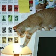 Leliaardjes_2005-01-06_IMG_