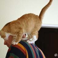 Leliaardjes_2005-01-15_IMG_088