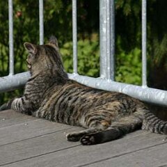 Nellie-2005-04-24_1821