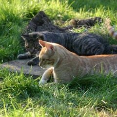 Nellie-Ron-2005-04-24_1652