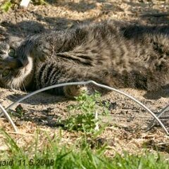 20080511-On-the-Beach_0478