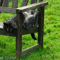 Nellie-2009-03-01_4227