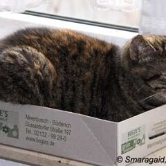 Nellie-2010-02-13_0263