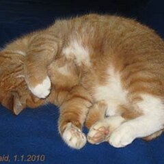 Ron-2010-01-01_Ron_0639