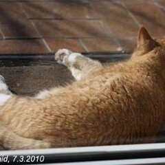 Ron-2010-03-07-Ron_0389