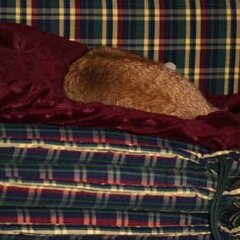 Ron-2010-03-14-Ron_0402