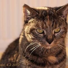 2012-02-04-Nellie_7026