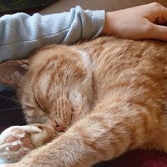 Ron-2014-01-01_113121_752