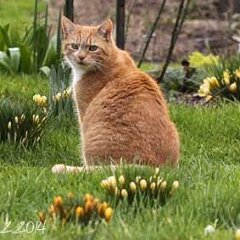 Ron-2014-02-15-Ron_5716