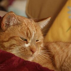 741195579303405 Vorsatz für 2015: mehr Zeit zum Entspannen :-)