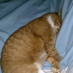 Ron 2016-01-08_xp1223