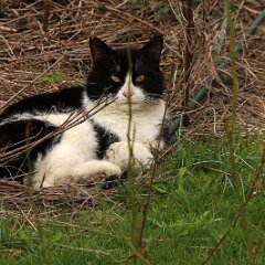 Felix_2019_03_20_8131