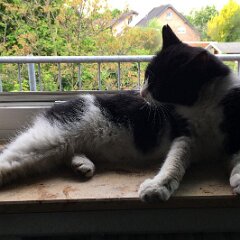 Felix_2019_05_08_i0079 So, da bin ich!