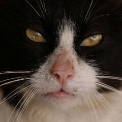 Felix_2019_05_27_9245