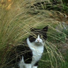 Felix_2019_08_25_0138