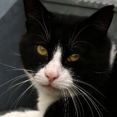 Felix_2019_08_28_0167