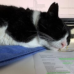 Felix_2020_01_13 10-15-25 Selig schläft, wer im Büro schläft :-)