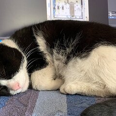 Felix_2020_04_22 14-36-01