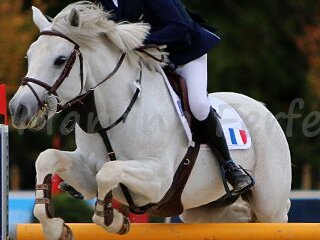 Nations Cup Youth Final