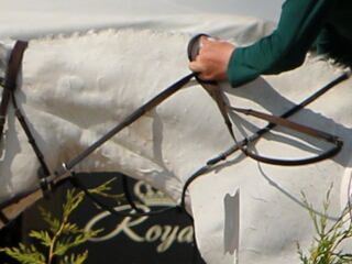 Nations Cup