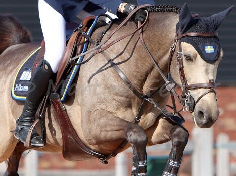 CSIOP Nations Cup Part I 1.30m