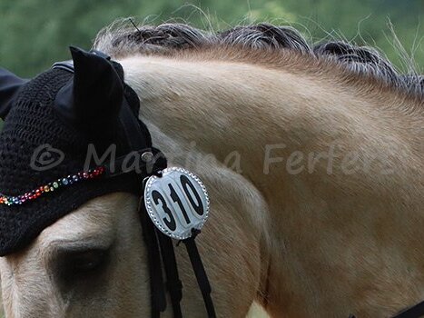 Rheurdt Sommerturnier