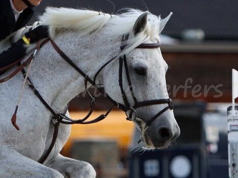 Valkenswaard Future Champions