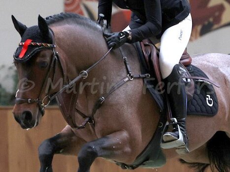 Ponyturnier Riesenbeck