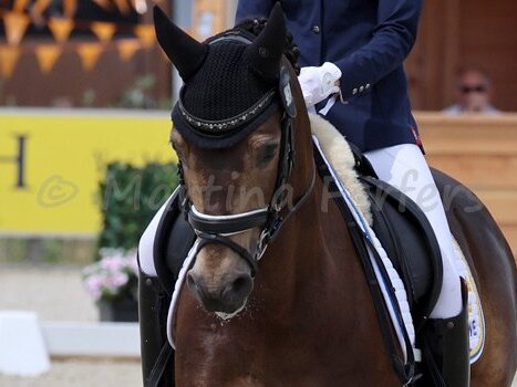 Europameisterschaften