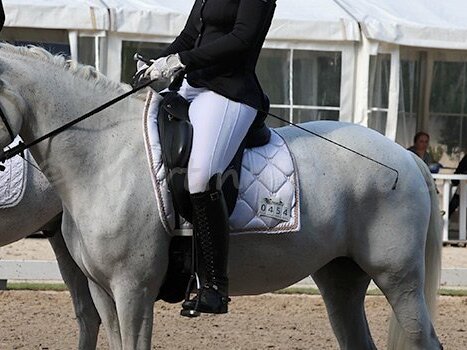 Schloss Wickrath Dressage