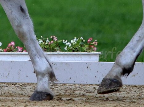 Deutsche Meisterschaften Pony Vielseitigkeit