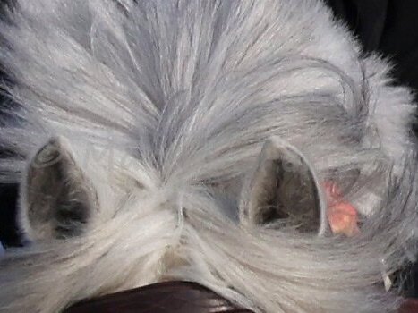 01 Two Phase Special 105 cm