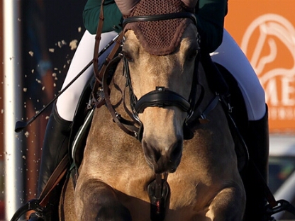 01 Two Phase Special 105 cm