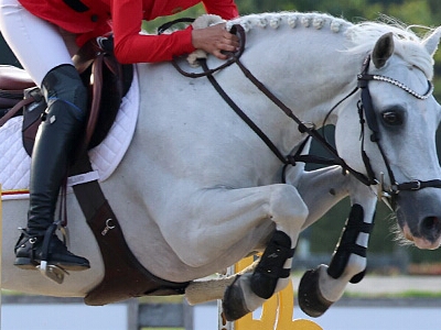 FEI Youth Finals